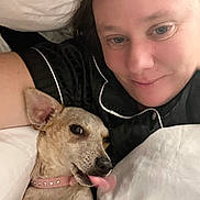 Roxy is registered to the contest to win money with this photo: bed, blanket, closeup, collar, comfort, cozy, cute, dog, ear, face, indoor, light, pajamas, person, pet, resting, skin, smile, snuggling, tongue