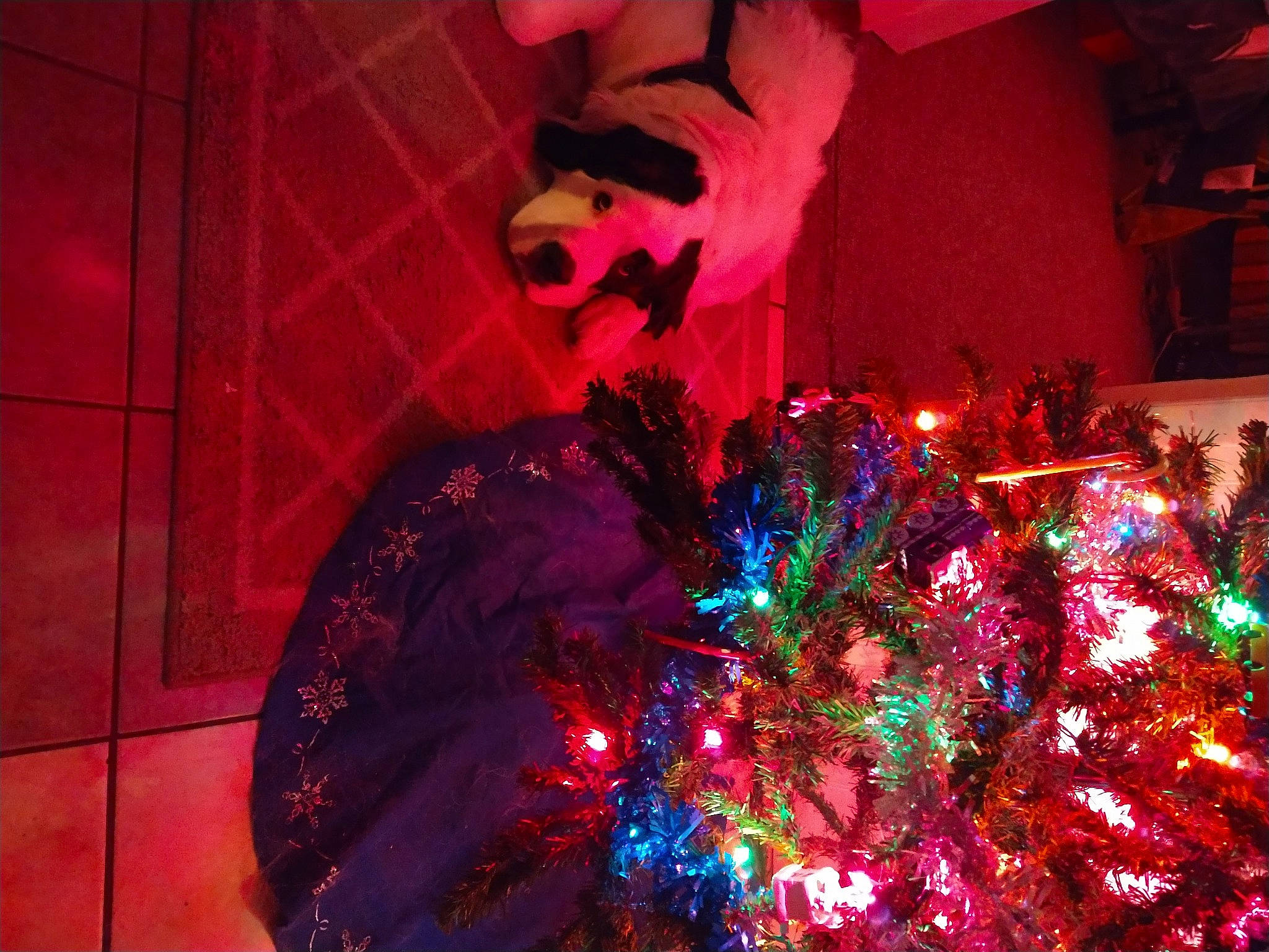 Angie joined the competition — help win amazing prizes! art, christmas, christmas_decoration, christmas_ornament, christmas_tree, darkness, electric_blue, event, fun, holiday, holiday_ornament, magenta, ornament, pink, plant, purple, space, tints_and_shades, tradition, tree