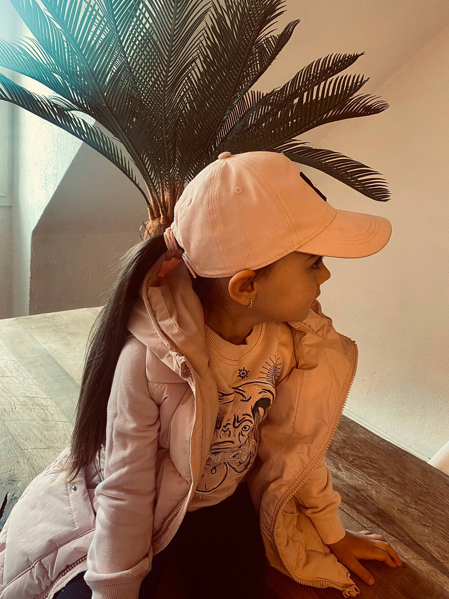 Joyce a rejoint le concours — aidez-le/la à gagner de superbes lots ! arecales, cap, comfort, costume_hat, event, fashion_accessory, feather, flooring, fun, fur, happy, hat, headpiece, palm_tree, person, personal_protective_equipment, stock_photography, sun_hat, toddler, tree