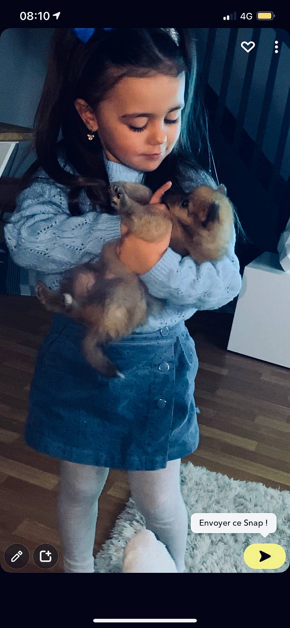 Joyce a rejoint le concours — aidez-le/la à gagner de superbes lots ! black, blue, child, companion_dog, doll, eyelash, fashion, fawn, fur, fur_clothing, people, person, photograph, skin, snapshot, street_fashion, stuffed_toy, textile, toy, trunk