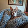 Tuffy