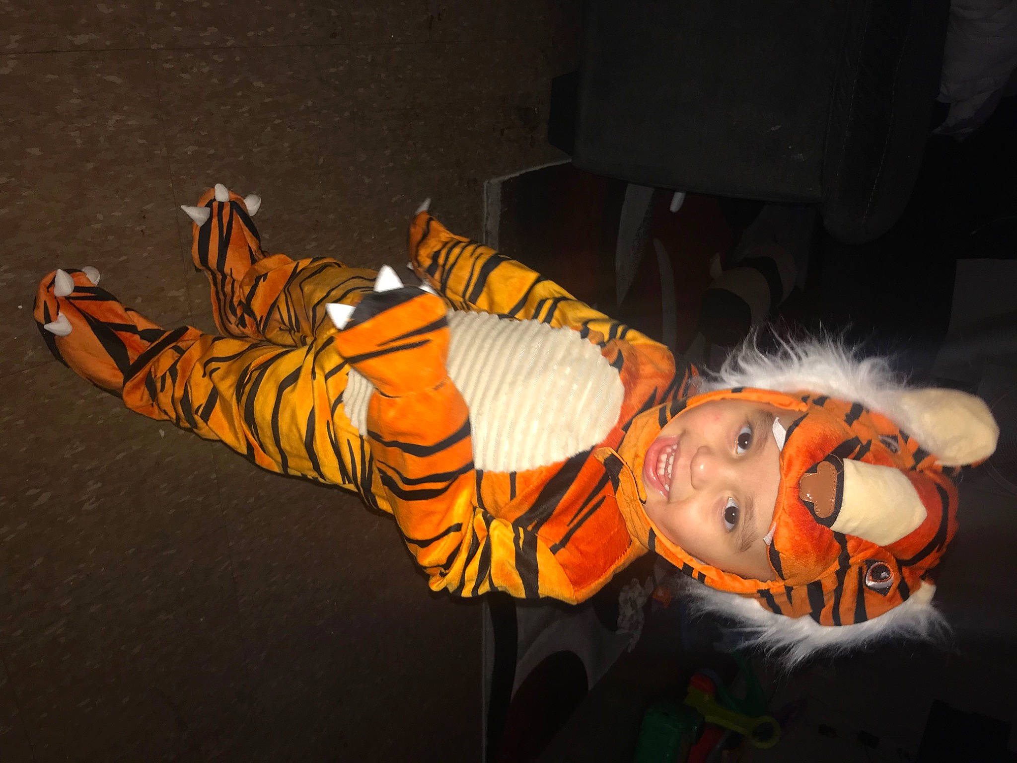 Armani joined the competition — help win amazing prizes! bengal_tiger, big_cats, costume, event, fiction, fun, fur, head, headgear, headwear, joy, orange, pattern, person, siberian_tiger, skeleton, smile, tail, terrestrial_animal, tiger
