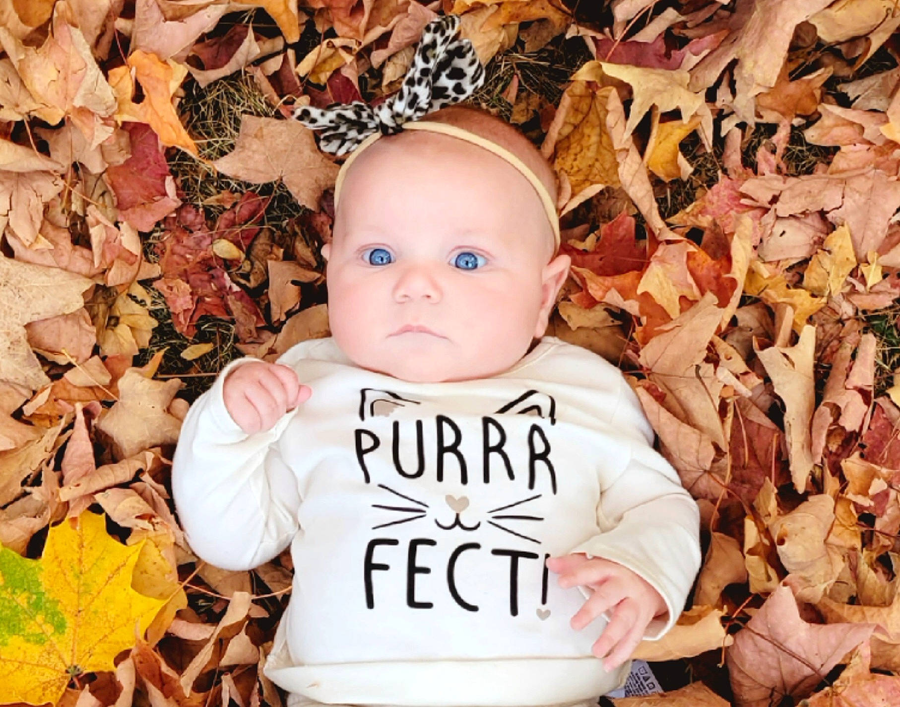 Jaylee is registered to the contest to win money with this photo: baby, baby_toddler_clothing, cheek, child, deciduous, face, flash_photography, grass, happy, head, iris, leaf, pattern, people_in_nature, person, plant, portrait_photography, sleeve, t_shirt, toddler