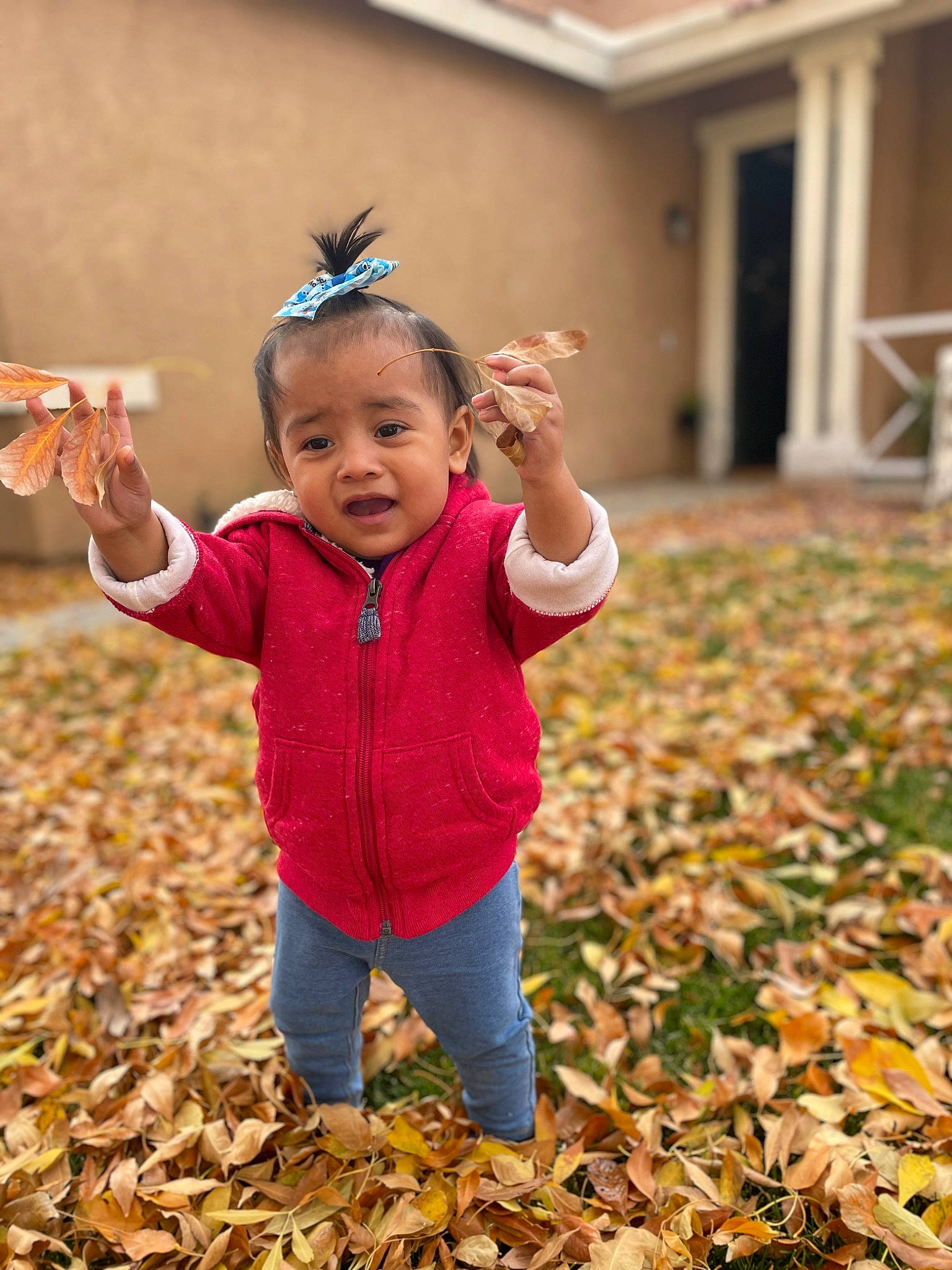 Olyvia joined the competition — help win amazing prizes! autumn, baby_toddler_clothing, child, deciduous, fun, grass, hand, happy, headband, headpiece, jewellery, landscape, leaf, leisure, people_in_nature, person, plant, soil, toddler, tree