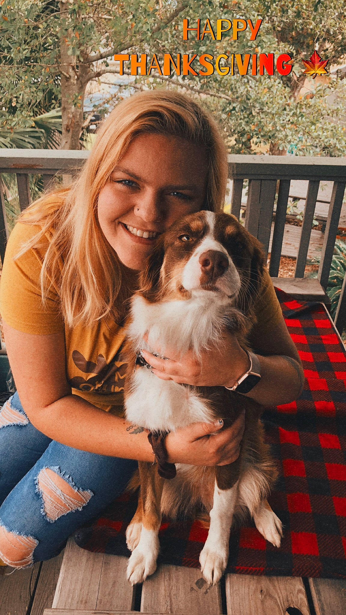 Rory is registered to the contest to win money with this photo: brown_hair, canidae, carnivore, cavalier_king_charles_spaniel, companion_dog, dog, dog_breed, fawn, fence, formal_wear, fur, happy, king_charles_spaniel, liver, plant, smile, spaniel, sporting_group, toy_dog, tree