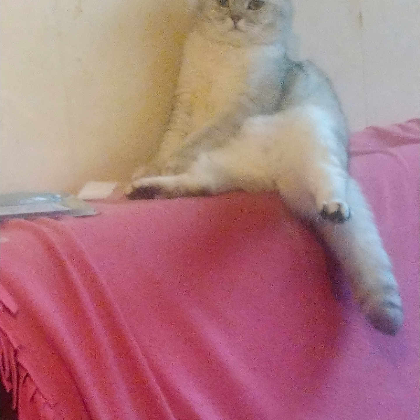 Tigrou