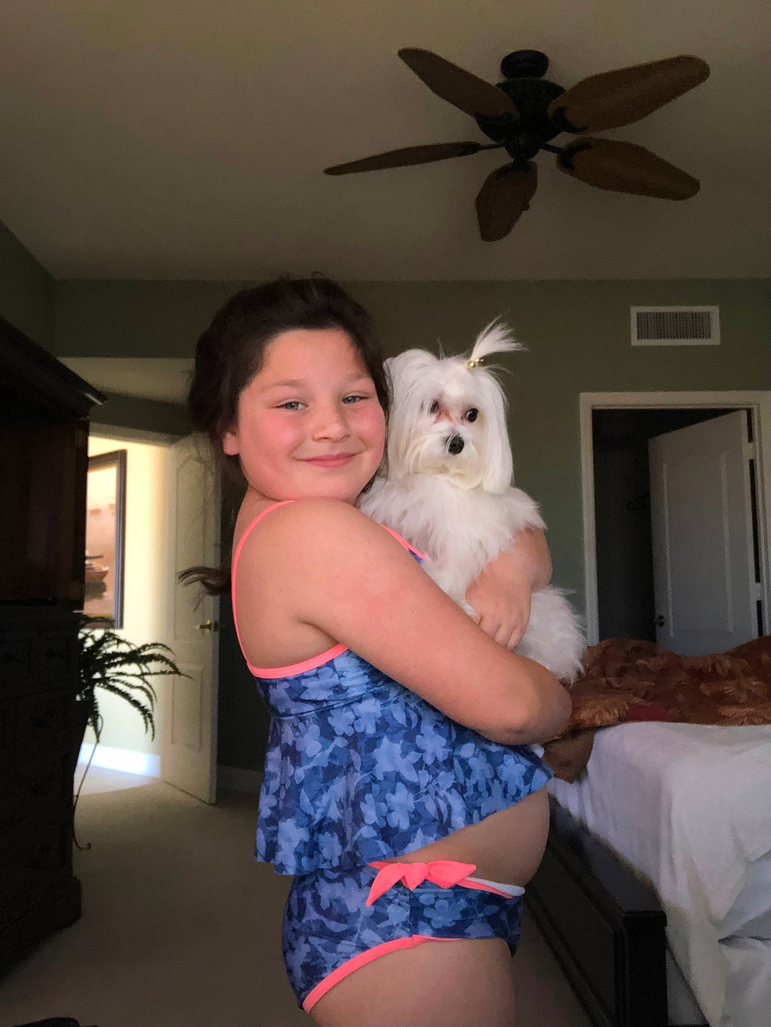 Dossie joined the competition — help win amazing prizes! abdomen, canidae, leg, long_hair, room, trunk