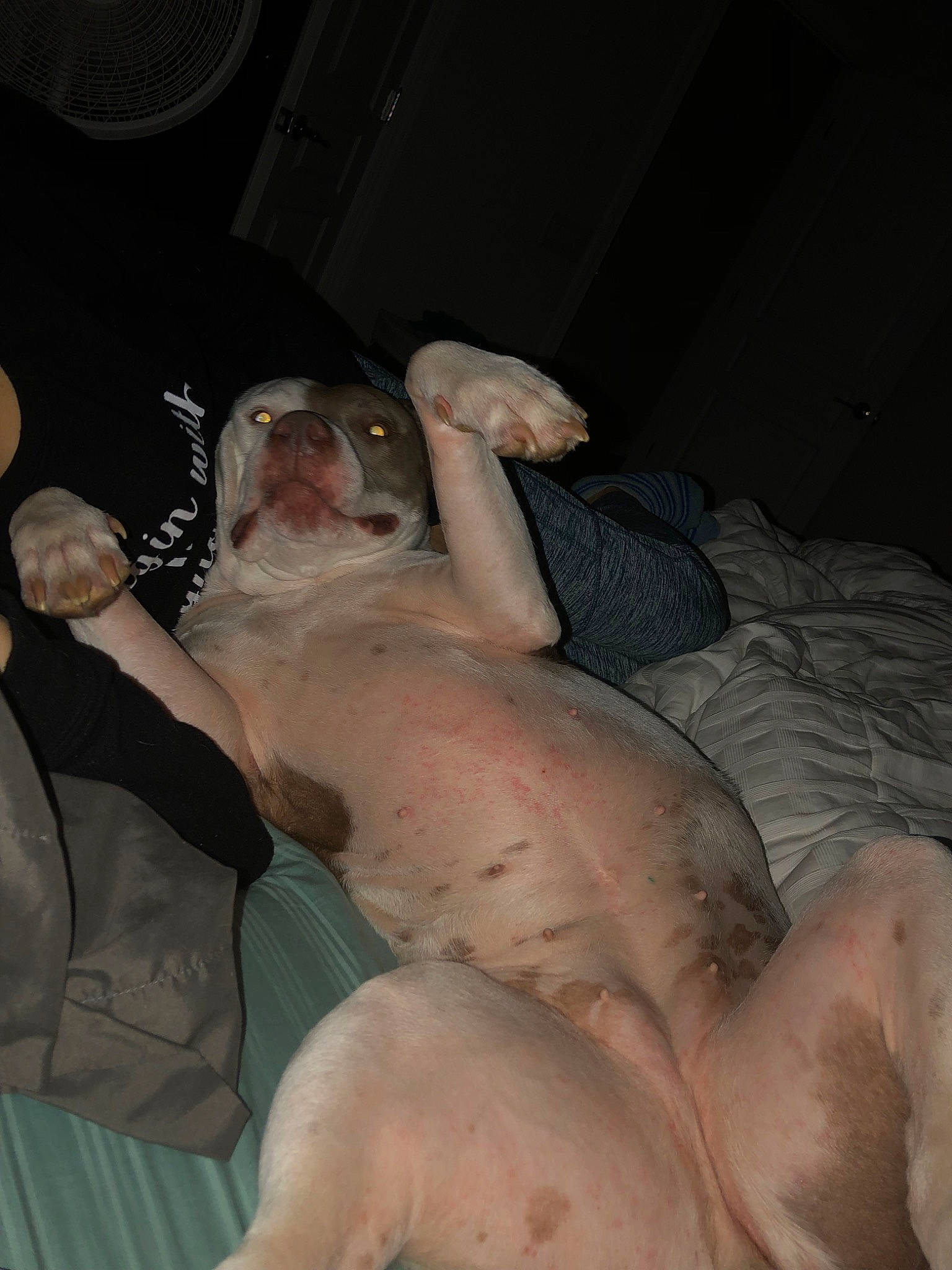 Lucy joined the competition — help win amazing prizes! barechested, chest, flesh, human_body, leg, muscle