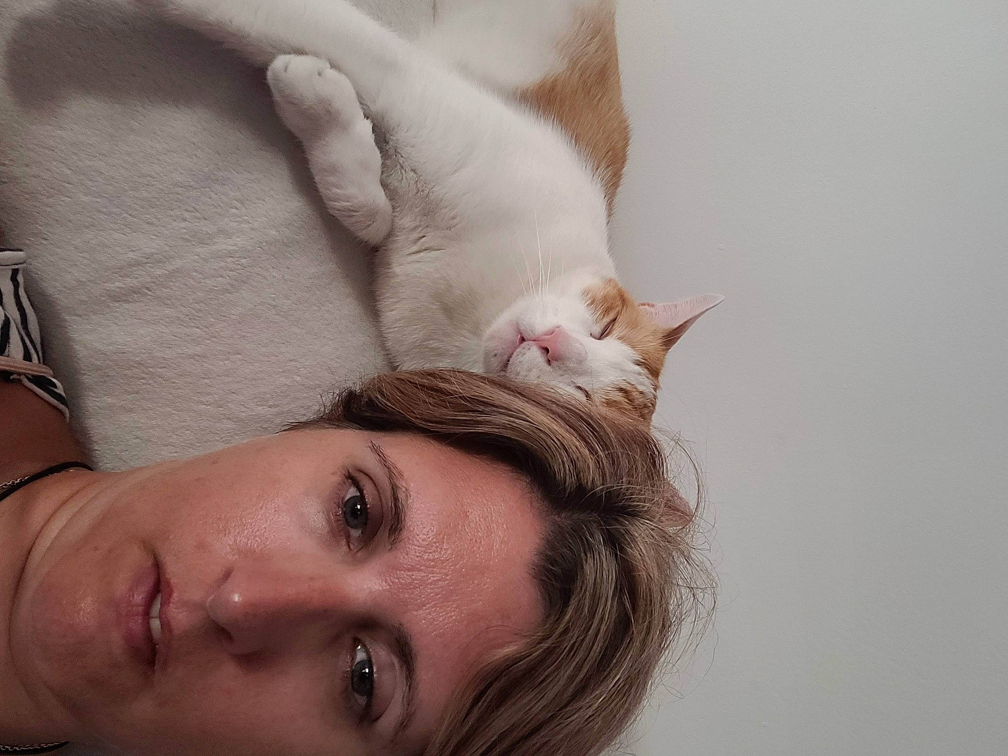 Pépito participe au concours pour gagner de l'argent avec cette photo : beard, cat, close_up, comfort, eye, eyelash, face, fawn, gesture, happy, leg, lip, mammal, mouth, neck, nose, skin, trunk, whiskers, wood