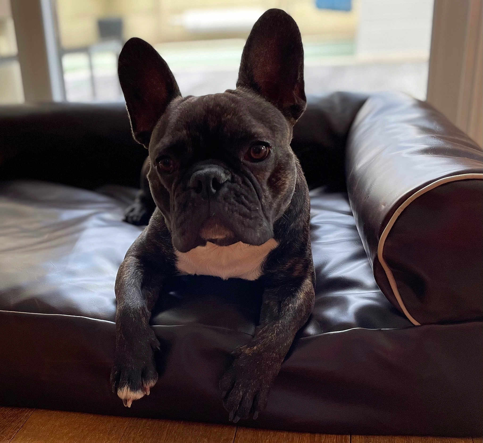 Onyx