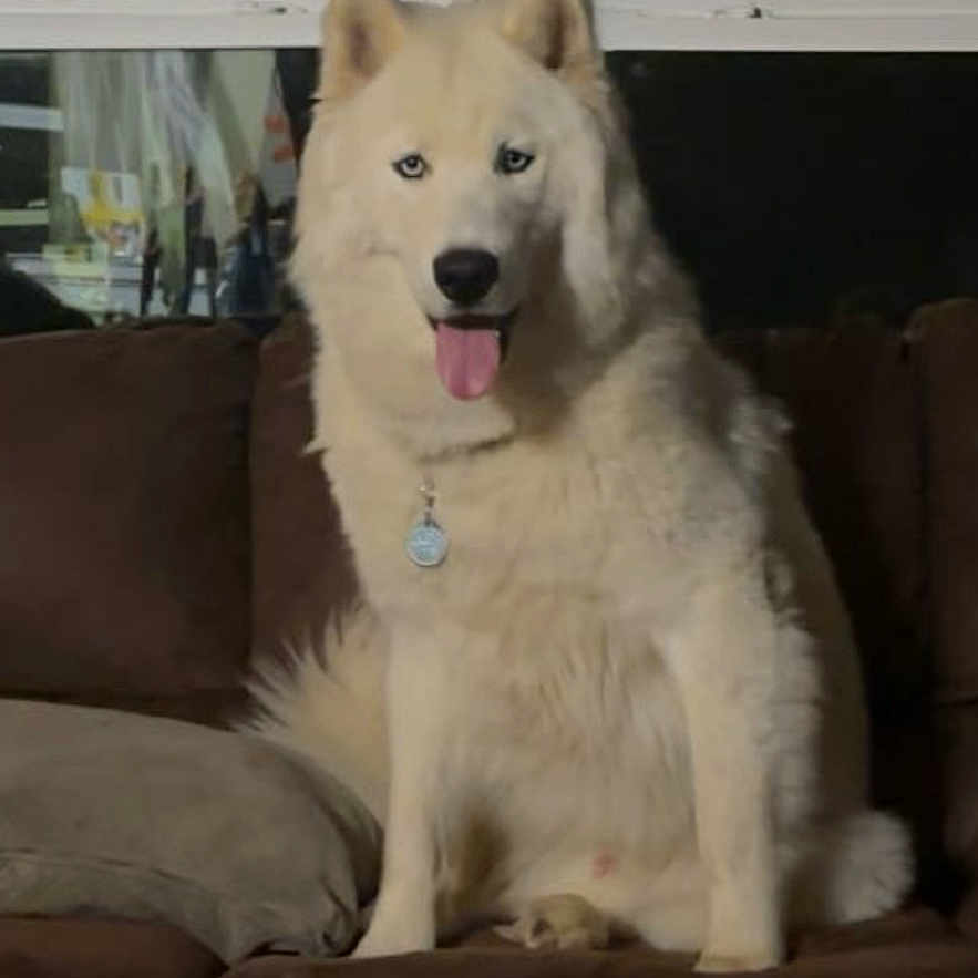 Lakota