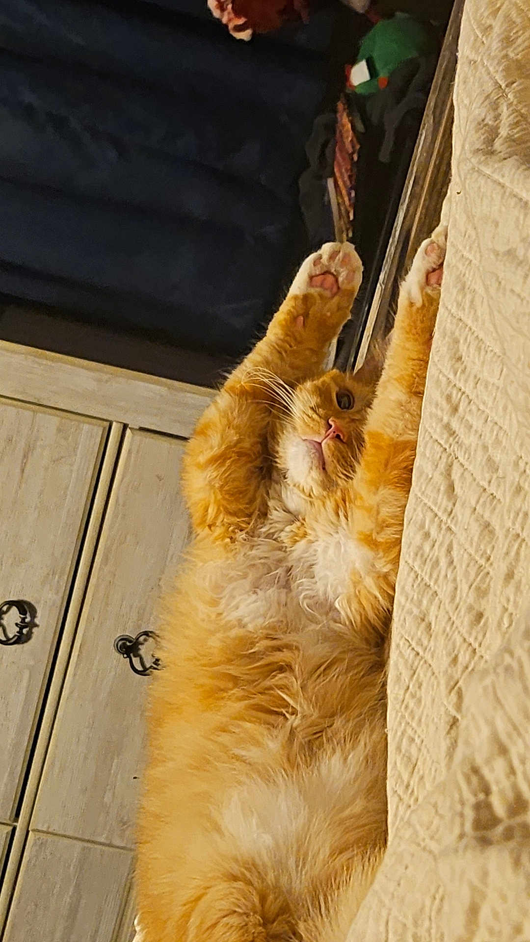 Mr. Noodle
