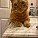 Vincent