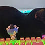 black_cat, keyboard, anime_figurine, computer_monitor, desk, technology, indoor, pet, cat, figurine, lighting, electronics, mouse_pad, cables, workstation, accessories, colorful, cute, relaxed, home_office