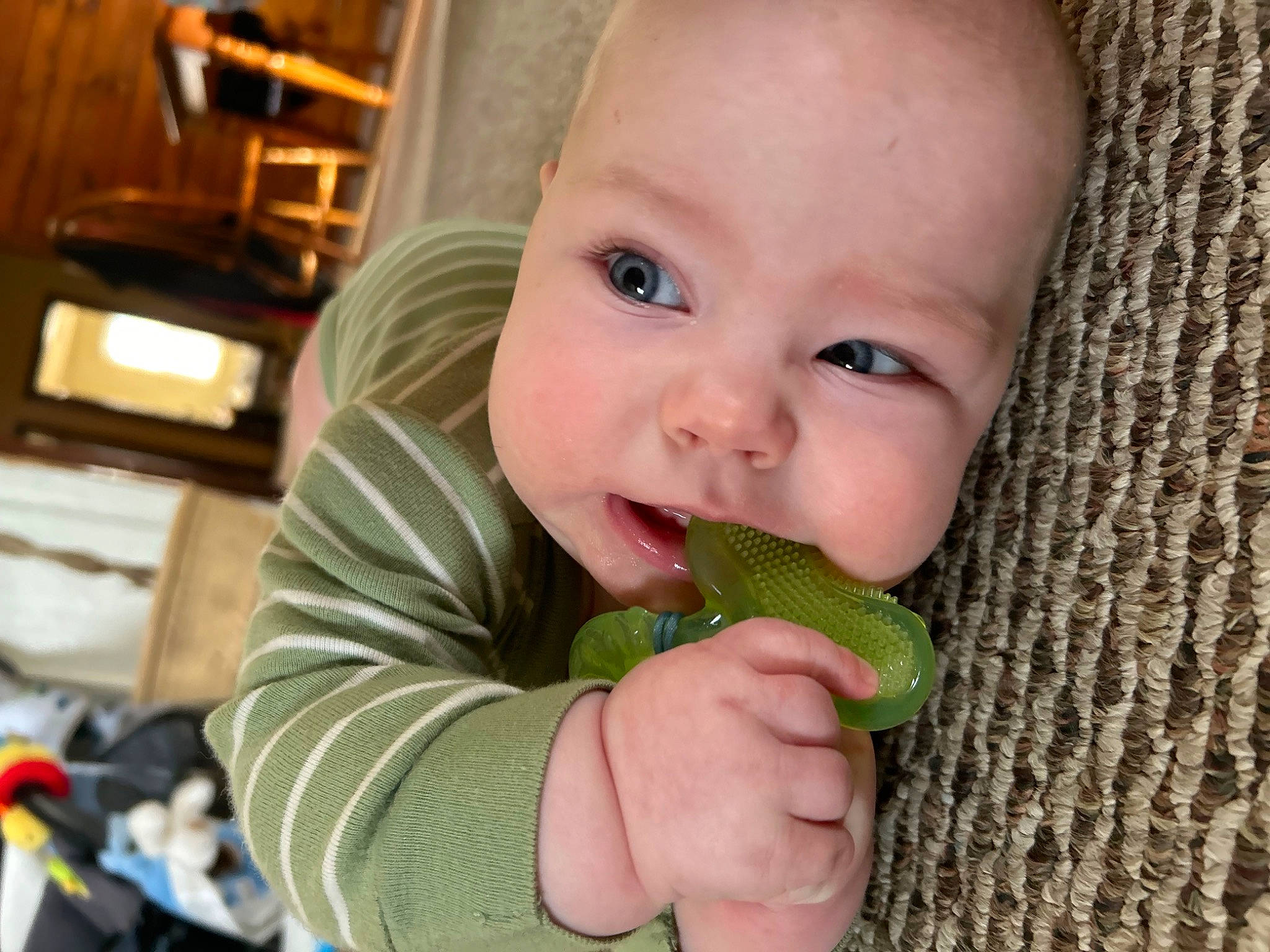 Silas is registered to the contest to win money with this photo: baby, baby_toddler_clothing, child, eating, finger, gesture, hand, happy, leaf_vegetable, nail, natural_foods, people_in_nature, person, produce, reptile, scaled_reptile, skin, superfood, thumb, toddler