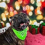 dog, brindle_dog, green_bandana, smiling, teeth, happy, christmas, presents, glitter_gifts, bokeh, festive_backdrop, holiday, portrait, pet, studio_photo, tongue_out, brindle_fur, red_decor, green_decor, carpet
