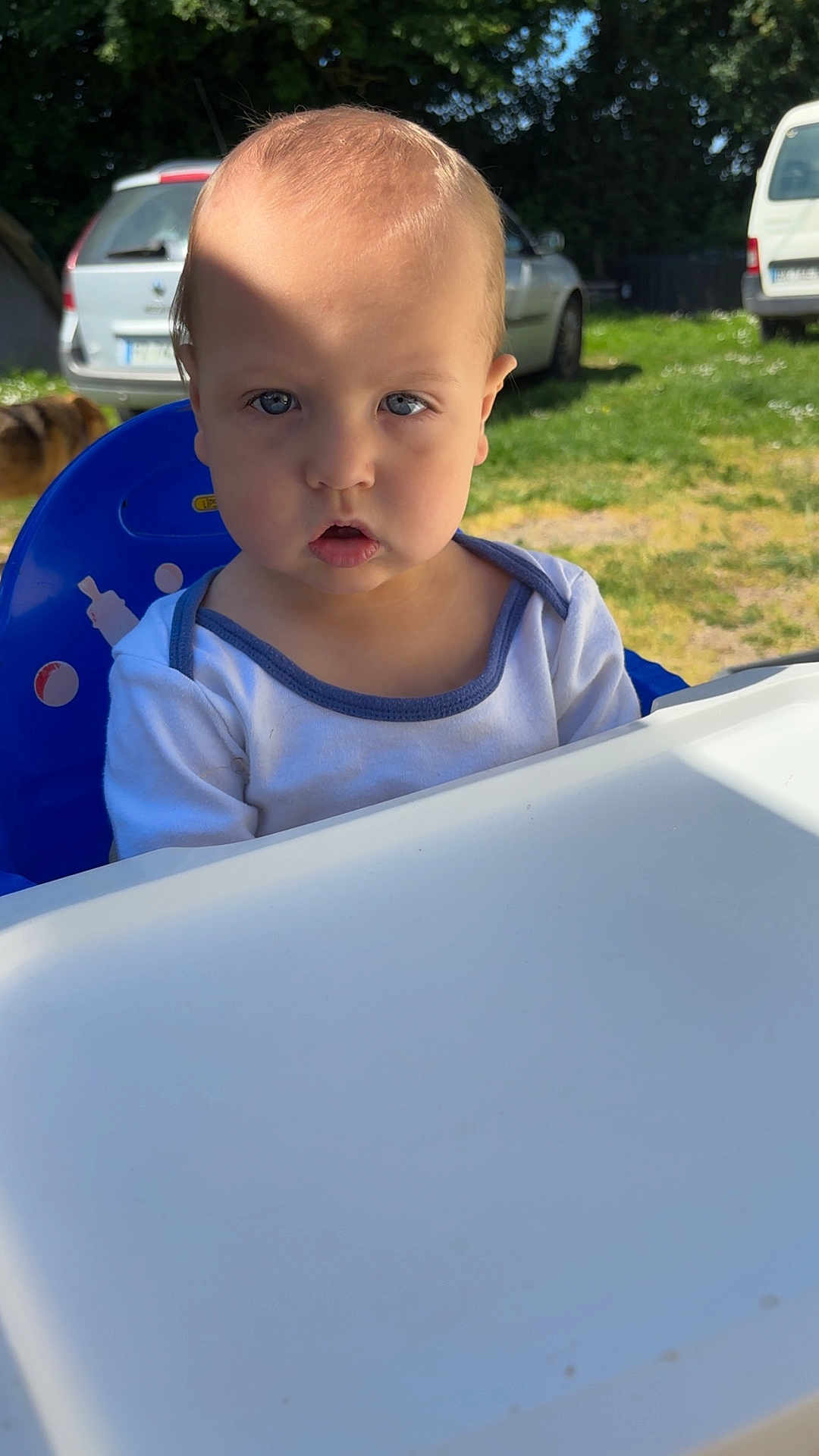 ézio participe au concours pour gagner de l'argent avec cette photo : baby, child, high_chair, outdoor, sunlight, shadow, grass, car, blue, white_clothing, face, expression, person, young_child, nature, vehicle, daylight, seat, curious, greenery