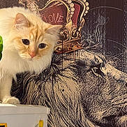 Tymba a rejoint le concours — aidez-le/la à gagner de superbes lots ! animal, blue_eyes, cat, close_up, cream_colored, crown, curious, decor, feline, fluffy, indoor, lion_art, love_text, majestic, pet, plant, portrait, potted_plant, wall_art, white_surface
