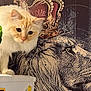 animal, blue_eyes, cat, close_up, cream_colored, crown, curious, decor, feline, fluffy, indoor, lion_art, love_text, majestic, pet, plant, portrait, potted_plant, wall_art, white_surface