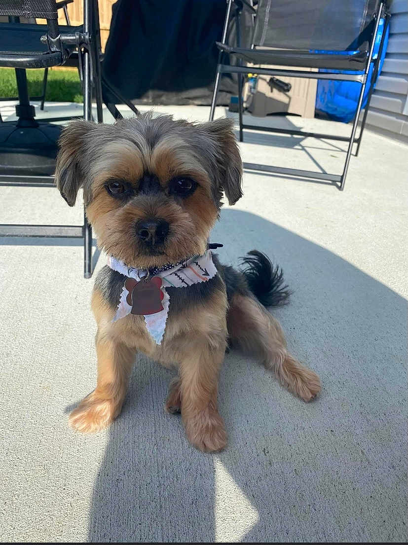 Jax