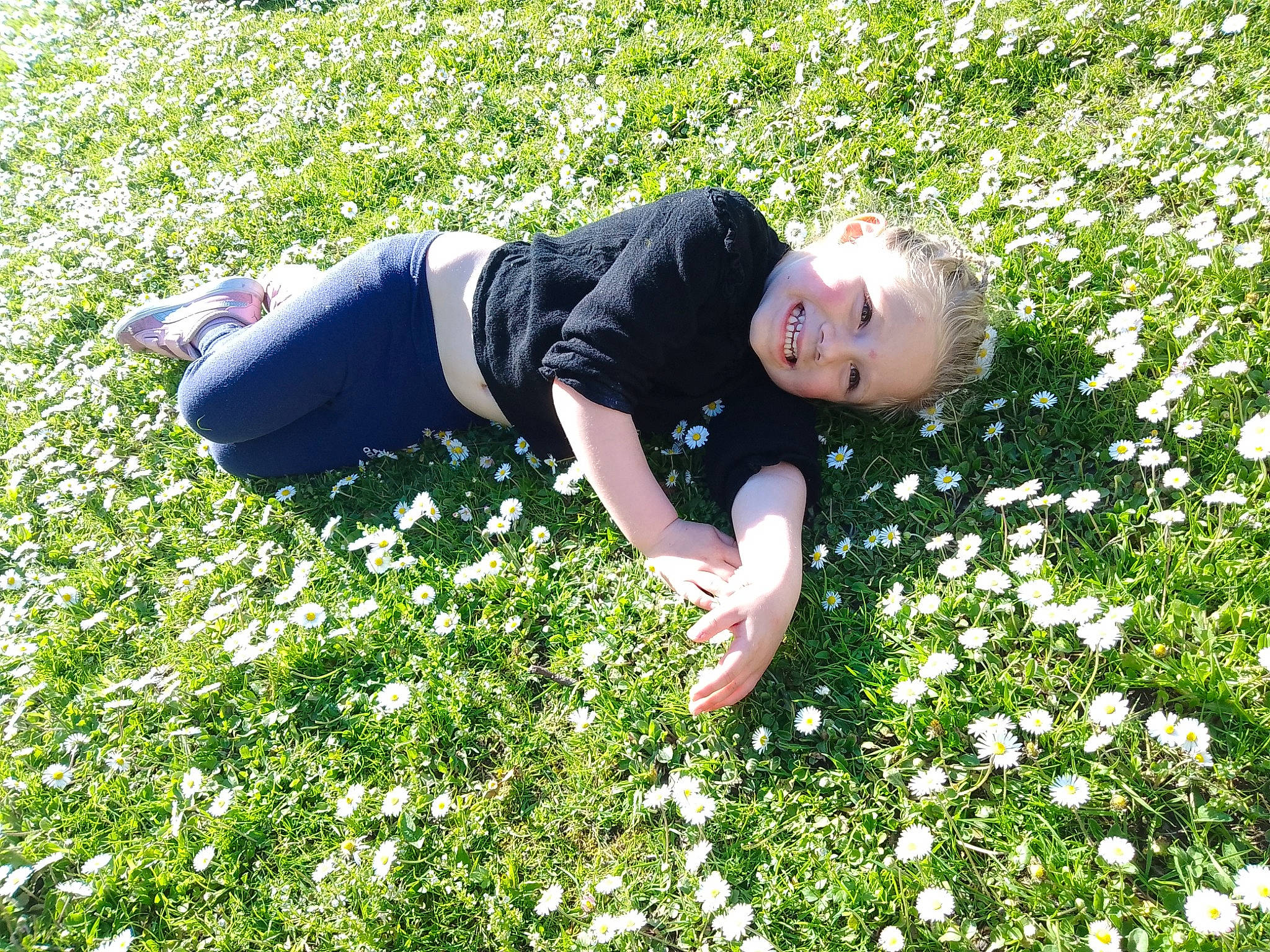 Iséa a rejoint le concours — aidez-le/la à gagner de superbes lots ! annual_plant, botany, camomile, flower, flowering_plant, garden, grass, grassland, green, groundcover, happy, joy, lawn, meadow, people_in_nature, person, petal, plant, shrub, smile