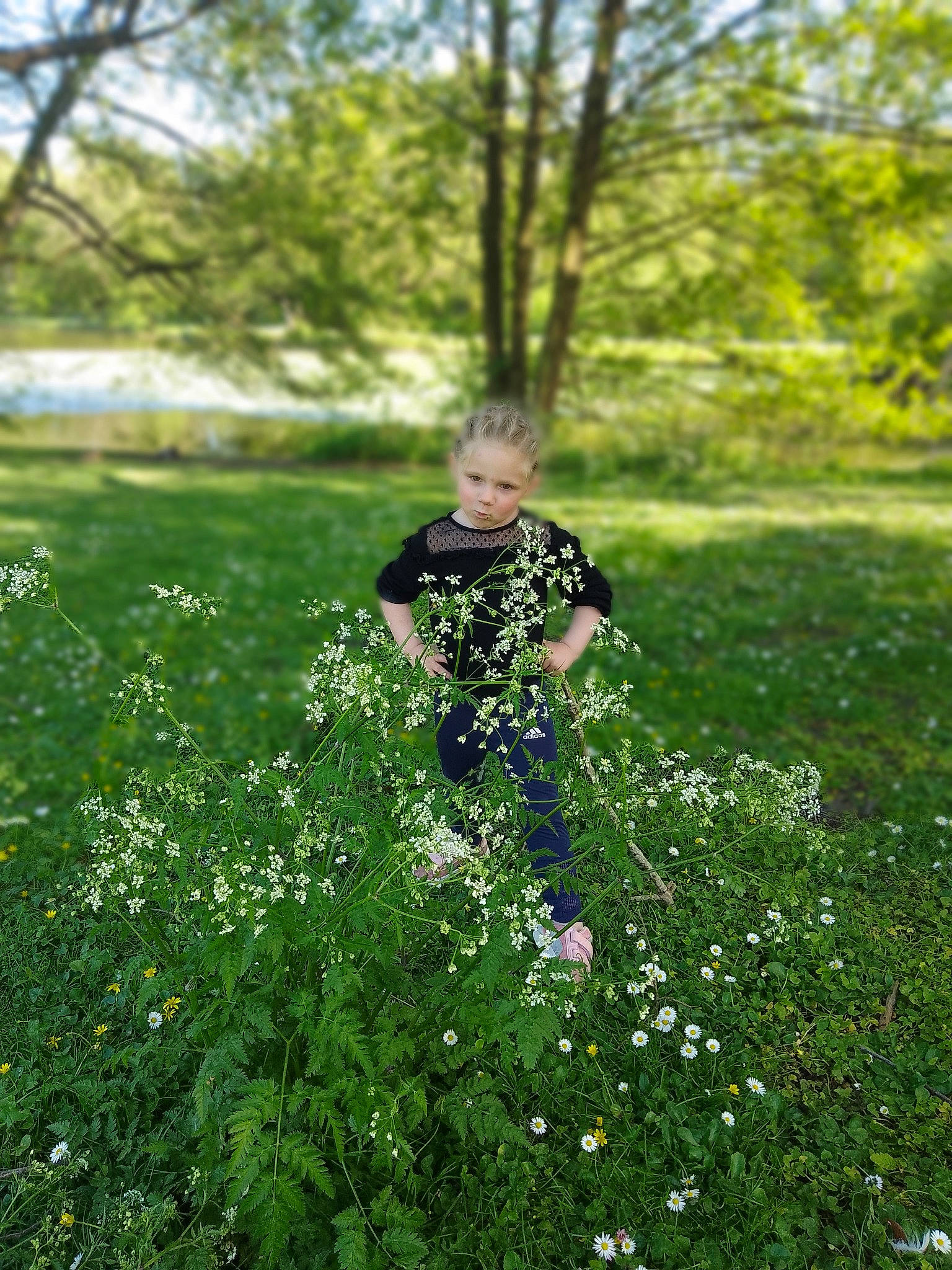 Iséa a rejoint le concours — aidez-le/la à gagner de superbes lots ! flower, flowering_plant, forest, grass, grassland, groundcover, happy, herbaceous_plant, landscape, lawn, meadow, natural_landscape, people_in_nature, plant, prairie, shrub, sunlight, tree, wood, woodland