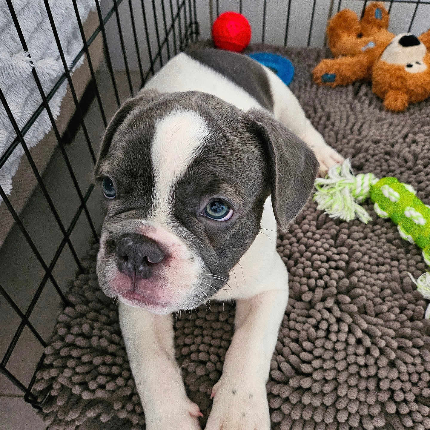 Mia