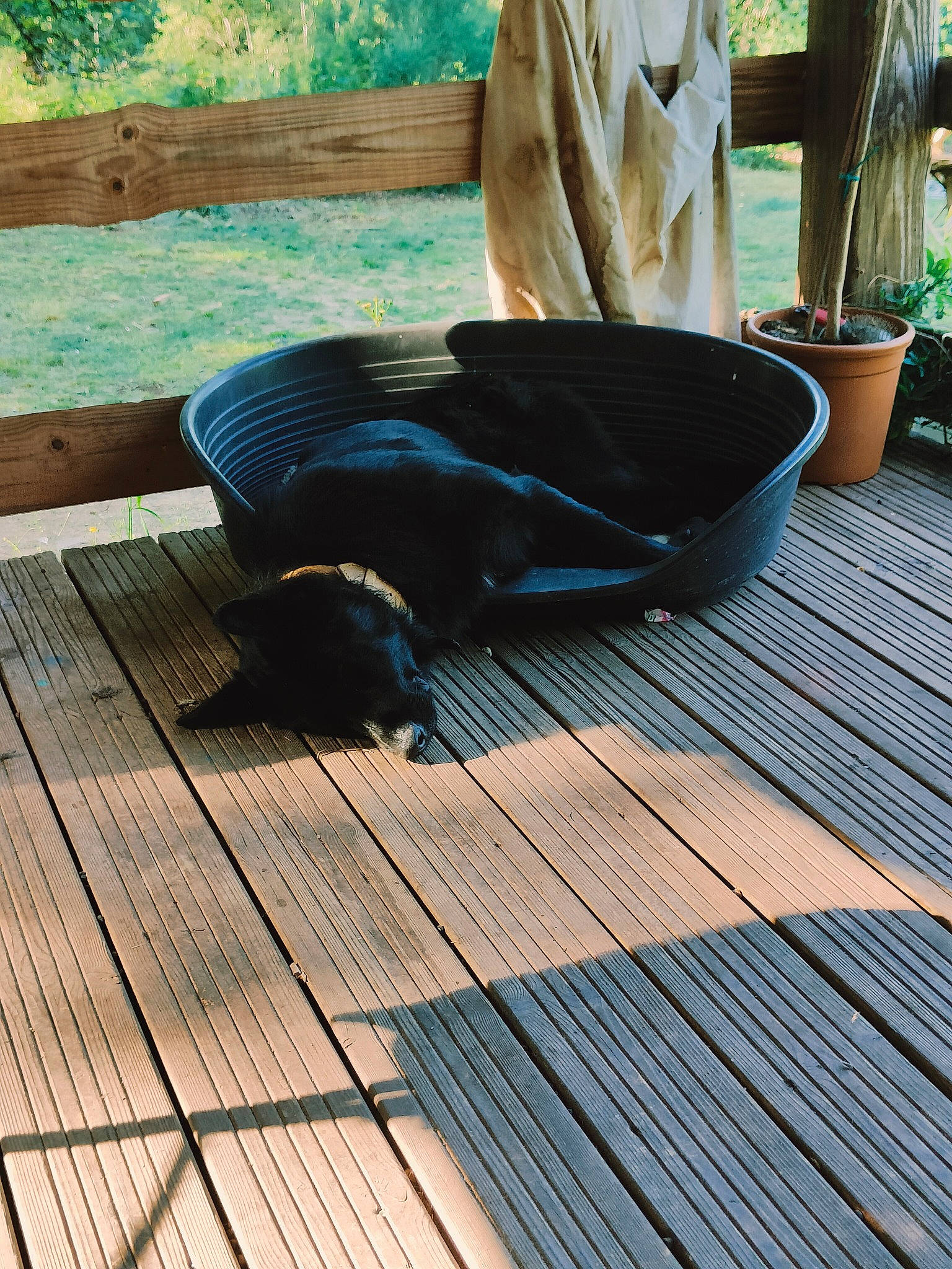 Twig a rejoint le concours — aidez-le/la à gagner de superbes lots ! automotive_tire, comfort, deck, electric_blue, floor, flooring, flowerpot, foot, grass, hardwood, house, houseplant, human_leg, leisure, pattern, plank, plant, wood, wood_flooring, wood_stain