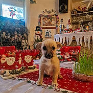 Vicky a rejoint le concours — aidez-le/la à gagner de superbes lots ! puppy, dog, table, christmas, holiday, decorations, santa_claus, snowman, indoor, festive, red, green, plants, figurines, cute, small_dog, tablecloth, ornaments, celebration, seasonal