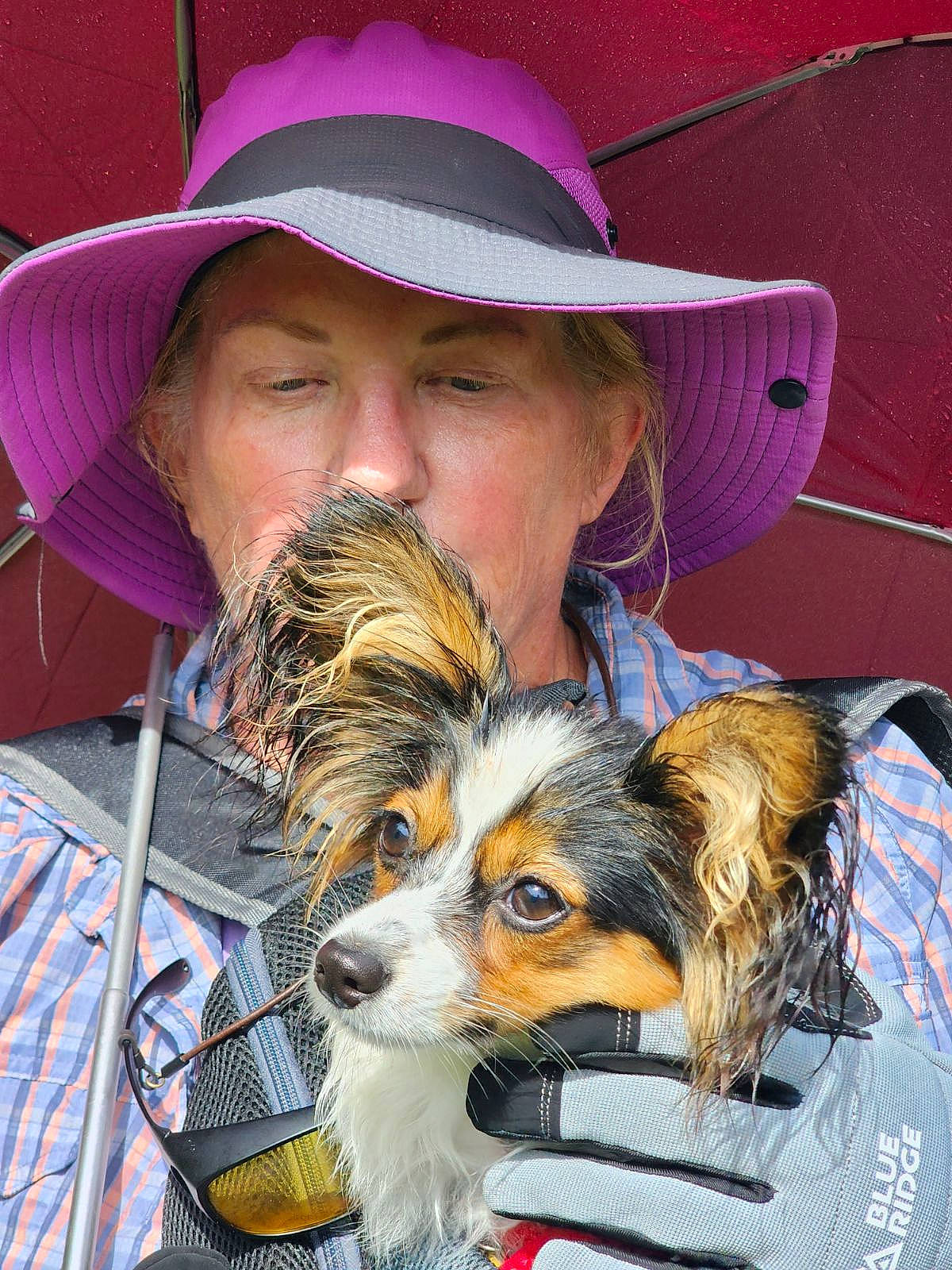 Coco joined the competition — help win amazing prizes! beard, canidae, cap, carnivore, companion_dog, cowboy_hat, dog, dog_breed, fashion_accessory, fedora, fun, fur, hat, sporting_group, sun_hat, toy_dog, vertebrate