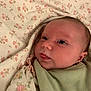 baby, infant, face, blanket, floral_pattern, close_up, sleepwear, cute, newborn, skin, expression, indoors, soft_lighting, swaddle, portrait, head, young_child, comfort, peaceful, child