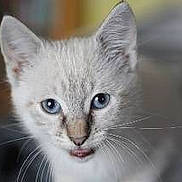 Jazzie participe au concours pour gagner de l'argent avec cette photo :