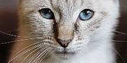 Jazzie participe au concours pour gagner de l'argent avec cette photo :