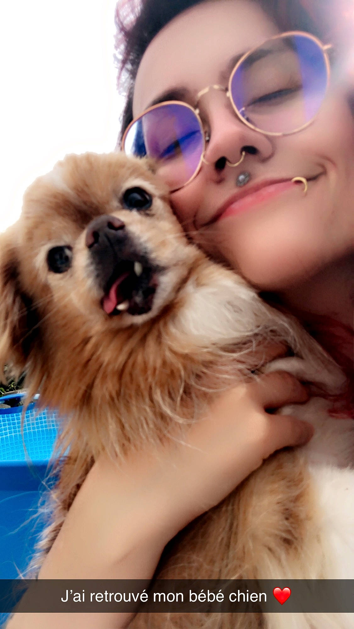 Hollin a rejoint le concours — aidez-le/la à gagner de superbes lots ! carnivore, companion_dog, dog, dog_breed, eye, eyewear, fawn, gesture, glasses, goggles, happy, head, iris, nose, photograph, skin, smile, spitz, sunglasses, vision_care