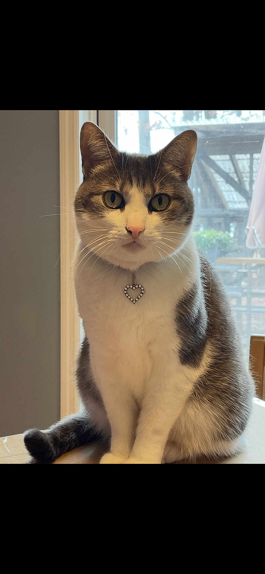 Maggie