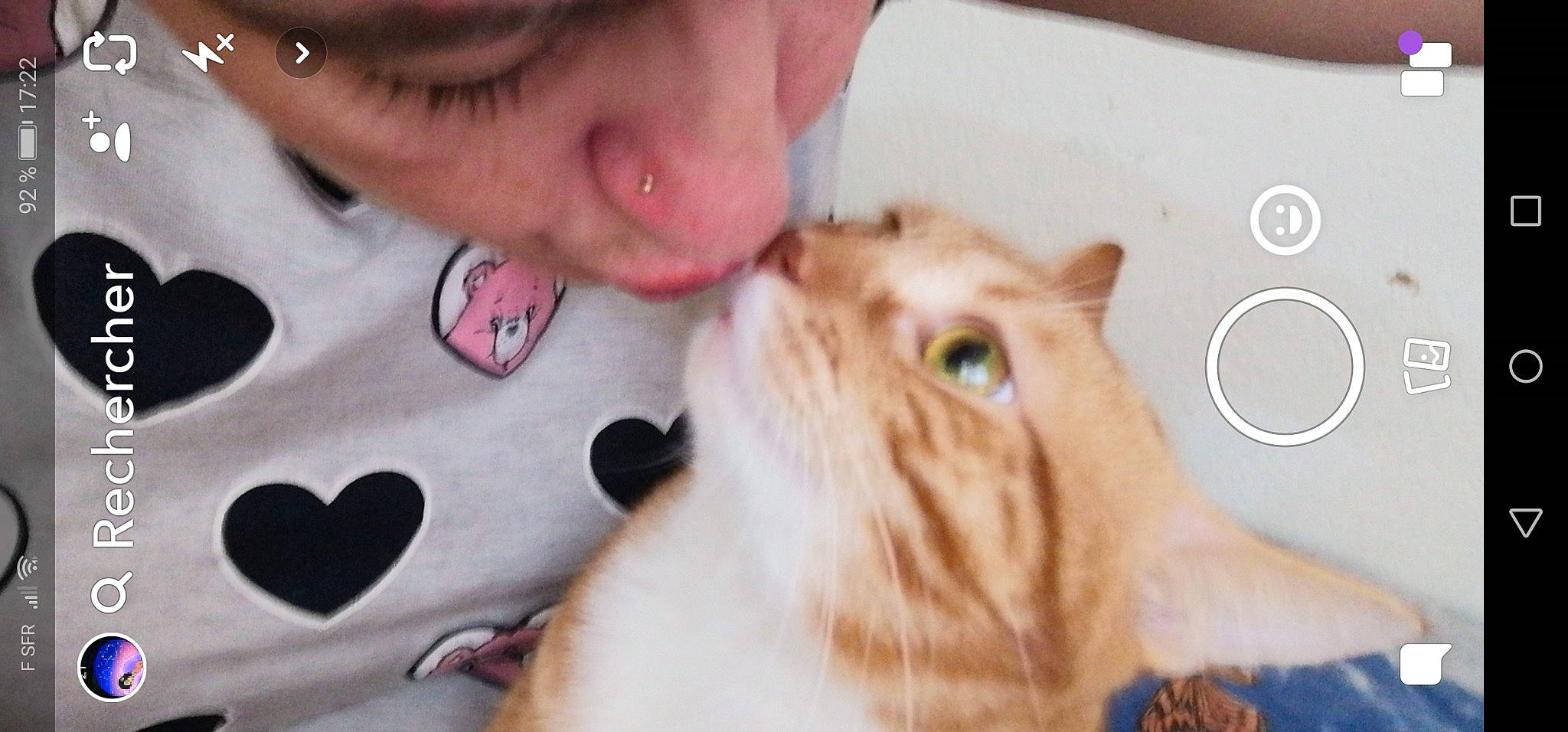 Garfield participe au concours pour gagner de l'argent avec cette photo : carnivore, cat, child, ear, eye, fawn, felidae, gerbil, gesture, guinea_pig, hamster, kitten, neck, nose, selfie, small_to_medium_sized_cats, snout, whiskers