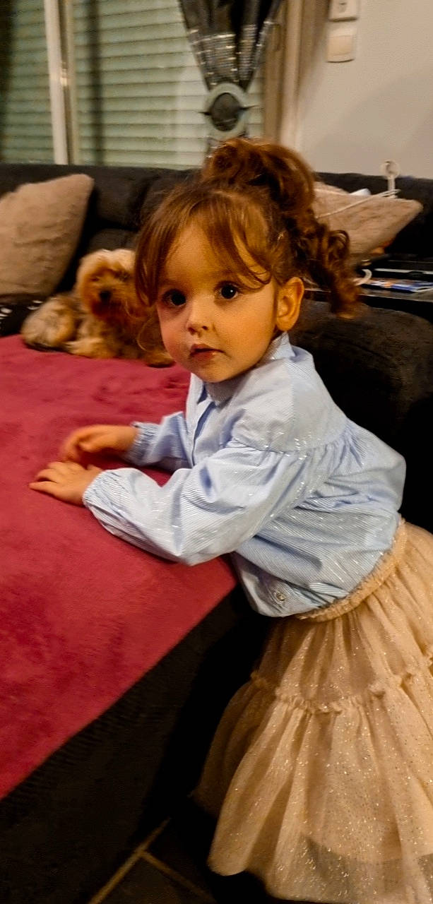 Eléa a rejoint le concours — aidez-le/la à gagner de superbes lots ! blond, carnivore, chair, child, comfort, dog, event, face, flooring, fun, furniture, happy, mammal, people, person, photograph, shoulder, snapshot, table, toddler