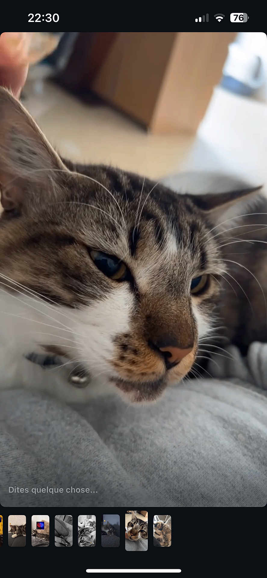 Moka participe au concours pour gagner de l'argent avec cette photo : cat, tabby_cat, close_up, whiskers, fur, pet, animal, indoor, resting, gray_fabric, soft_texture, blurred_background, domestic_cat, face, cute, sleepy, relaxed, muzzle, closeup, portrait