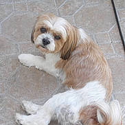 Guess a rejoint le concours — aidez-le/la à gagner de superbes lots !