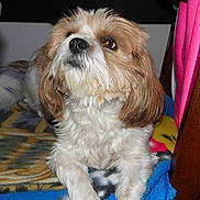 Guess participe au concours pour gagner de l'argent avec cette photo :