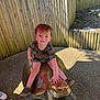 casual_clothing, child, concrete_ground, curious, daylight, nature, outdoor, person, playground, sculpture, shadow, shoes, shorts, sitting, statue, sunlight, tshirt, turtle, wooden_fence, young