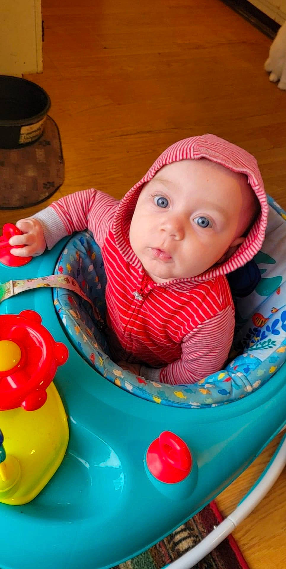 Rodney joined the competition — help win amazing prizes! baby, baby_playing_with_toys, baby_products, baby_toddler_clothing, baby_toys, bib, chair, cheek, child, facial_expression, fun, headwear, leisure, person, pink, play, product, recreation, red, sitting