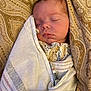 Ashanda joined the competition — help win amazing prizes! baby, newborn, sleeping, wrapped, blanket, soft, face, peaceful, infant, closeup, cozy, patterned_blanket, portrait, indoors, cute, child, resting, skin, head, clothing