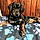 Tillie