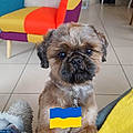 Sylvie C.