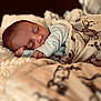 baby, sleeping, blanket, cozy, soft, infant, cute, rest, toddler, bedtime, warm, comfort, child, face, peaceful, plush, nursery, indoors, relax, portrait