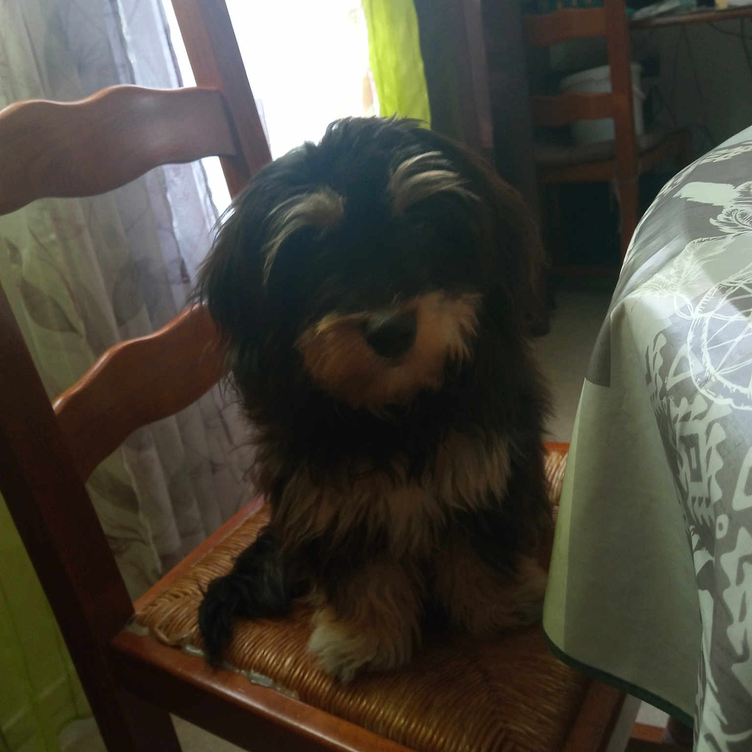 Mady
