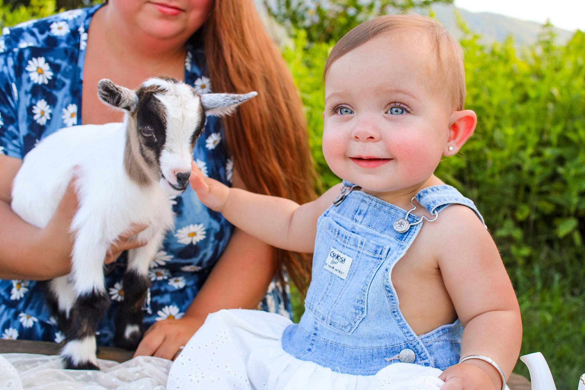 Willow is registered to the contest to win money with this photo: baby, baby_toddler_clothing, beauty, blue, blurred, companion_dog, dog_breed, dress, electric_blue, fawn, fun, goat, grass, happy, joy, leisure, people_in_nature, person, photograph, plant