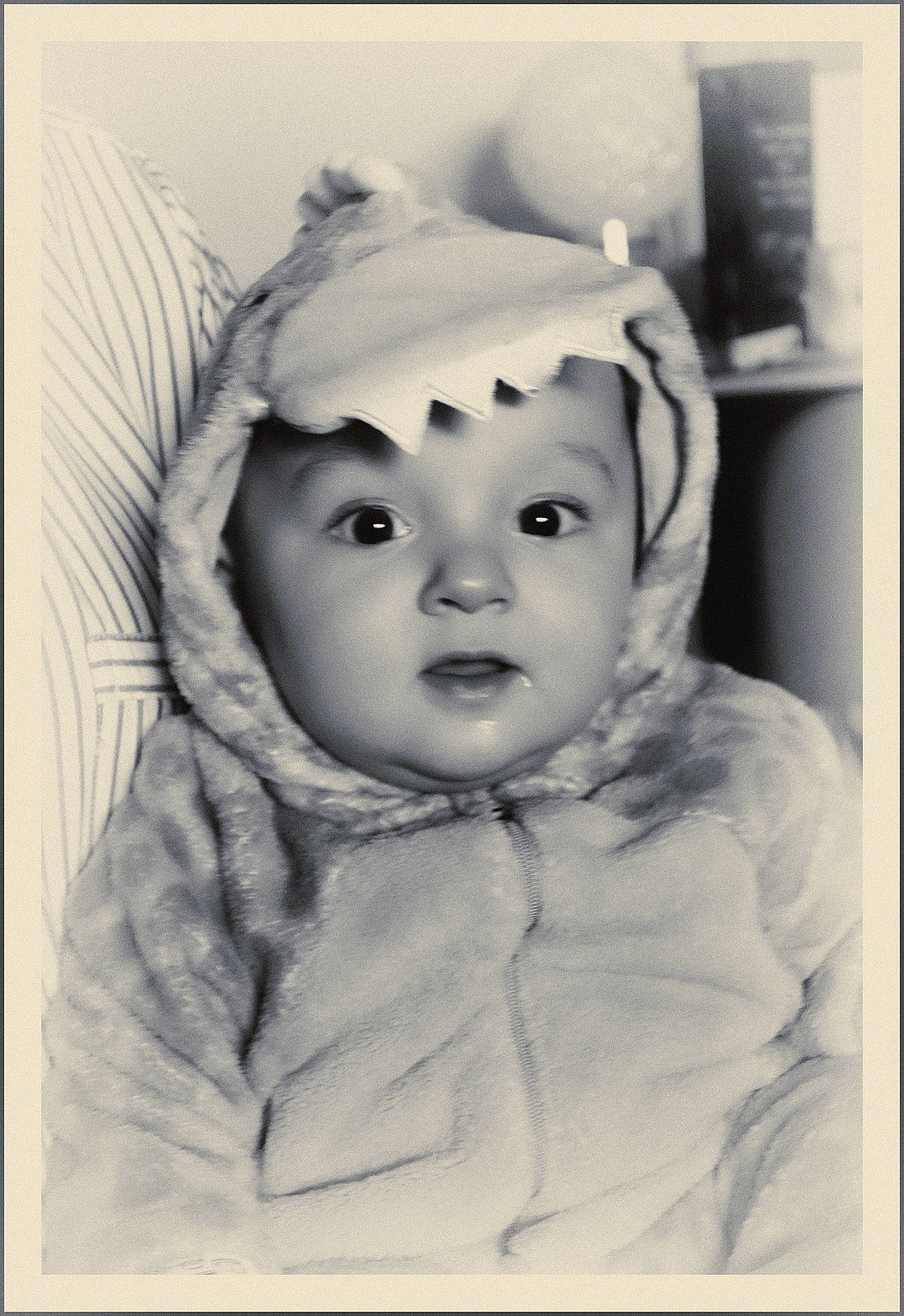 Kyllian a rejoint le concours — aidez-le/la à gagner de superbes lots ! baby, baby_toddler_clothing, cheek, child, ear, eye, eyelash, face, fashion_accessory, flash_photography, fur, happy, monochrome, monochrome_photography, no_expression, person, portrait, portrait_photography, sleeve, stock_photography