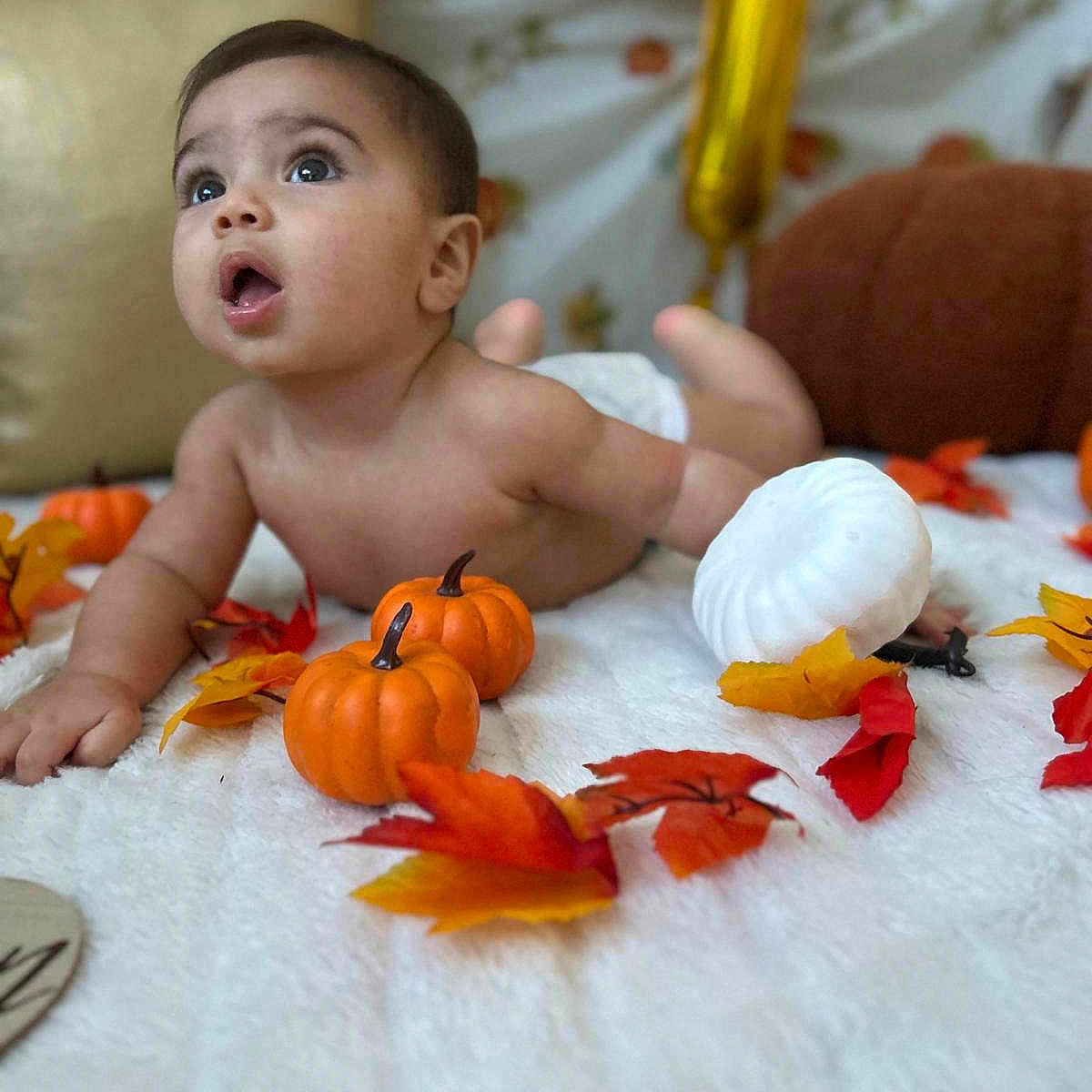 Yerick is registered to the contest to win money with this photo: autumn_leaves, baby, blanket, celebration, child, curious, cute, decor, expression, fall, holiday, indoors, infant, lying_down, orange, pumpkin, seasonal, skin, soft, white